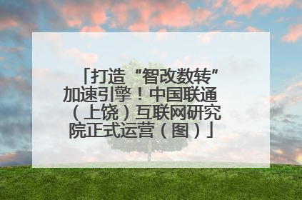 打造“智改数转”加速引擎！中国联通（上饶）互联网研究院正式运营（图）