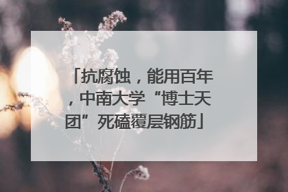 抗腐蚀，能用百年，中南大学“博士天团”死磕覆层钢筋