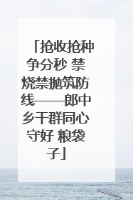 抢收抢种争分秒 禁烧禁抛筑防线——郎中乡干群同心守好 粮袋子