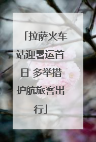 拉萨火车站迎暑运首日 多举措护航旅客出行