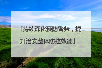 持续深化预防警务，提升治安整体防控效能