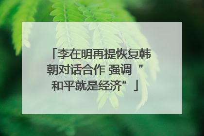 李在明再提恢复韩朝对话合作 强调“和平就是经济”