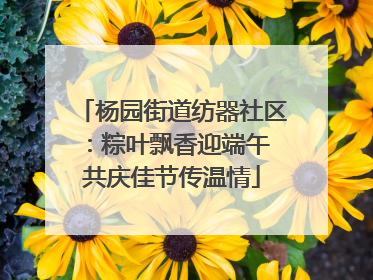 杨园街道纺器社区：粽叶飘香迎端午 共庆佳节传温情