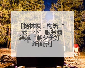 杨林镇：构筑“一老一小”服务圈 绘就“朝夕美好”新图景