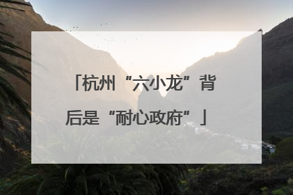 杭州“六小龙”背后是“耐心政府”