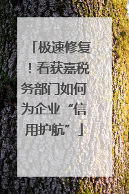 极速修复！看获嘉税务部门如何为企业“信用护航”