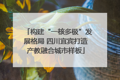 构建“一核多极”发展格局 四川宜宾打造产教融合城市样板