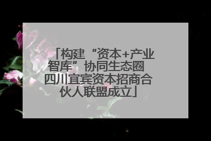 构建“资本+产业智库”协同生态圈 四川宜宾资本招商合伙人联盟成立