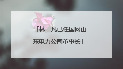 林一凡已任国网山东电力公司董事长