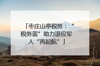 枣庄山亭税务：“税务蓝”助力退役军人“再起航”