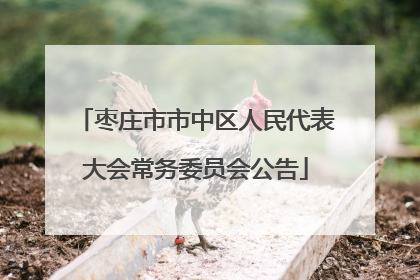 枣庄市市中区人民代表大会常务委员会公告