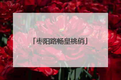 枣阳路畅皇桃俏