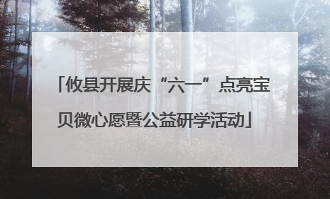 攸县开展庆“六一”点亮宝贝微心愿暨公益研学活动