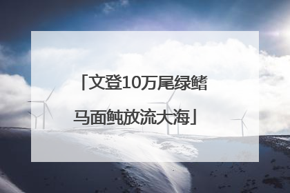 文登10万尾绿鳍马面鲀放流大海