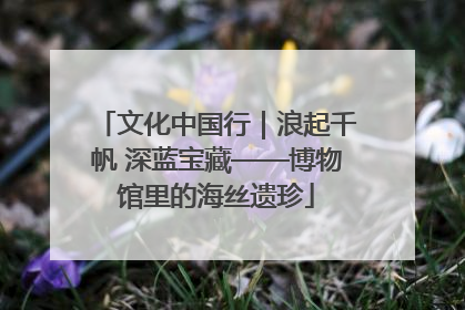 文化中国行｜浪起千帆 深蓝宝藏——博物馆里的海丝遗珍