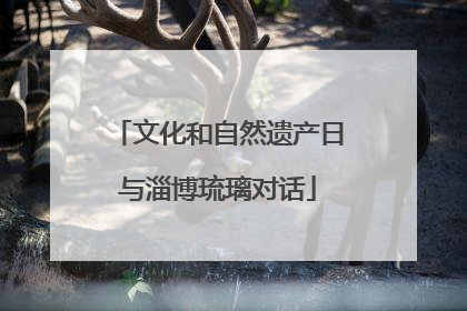 文化和自然遗产日与淄博琉璃对话