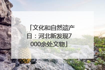 文化和自然遗产日：河北新发现7000余处文物