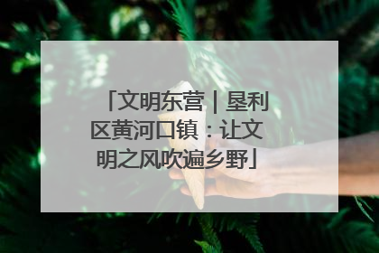 文明东营｜垦利区黄河口镇：让文明之风吹遍乡野