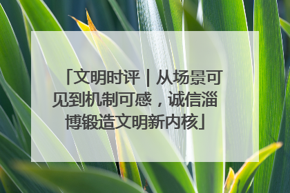 文明时评｜从场景可见到机制可感，诚信淄博锻造文明新内核