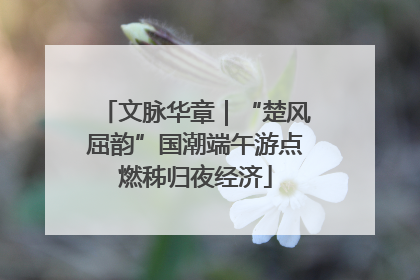 文脉华章｜“楚风屈韵”国潮端午游点燃秭归夜经济