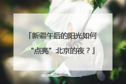 新疆午后的阳光如何“点亮”北京的夜？