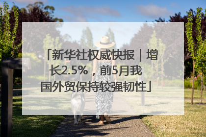 新华社权威快报｜增长2.5%，前5月我国外贸保持较强韧性