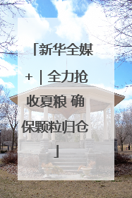 新华全媒+｜全力抢收夏粮 确保颗粒归仓