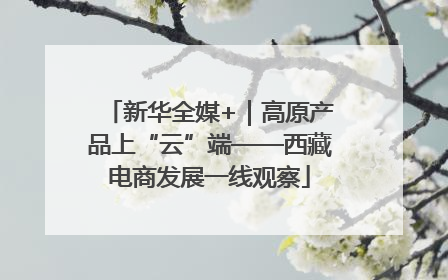 新华全媒+｜高原产品上“云”端——西藏电商发展一线观察