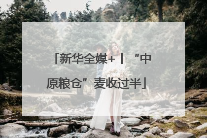 新华全媒+丨“中原粮仓”麦收过半