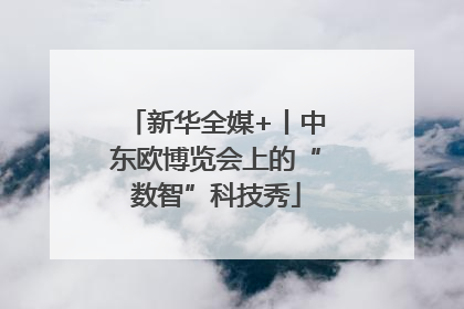 新华全媒+丨中东欧博览会上的“数智”科技秀
