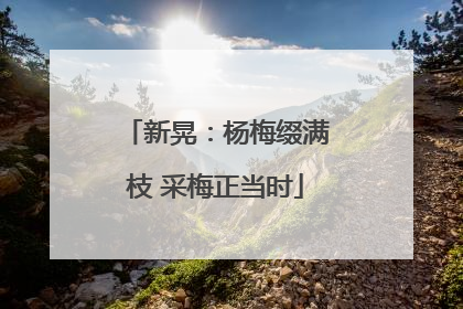 新晃：杨梅缀满枝 采梅正当时
