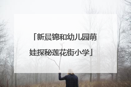 新晨锦和幼儿园萌娃探秘莲花街小学