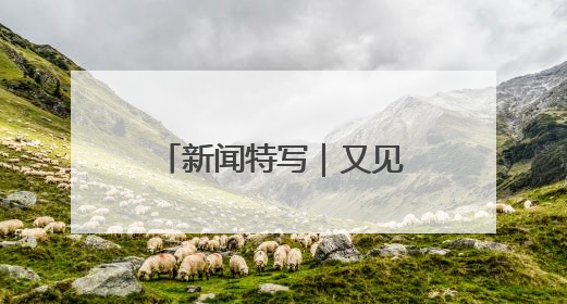 新闻特写｜又见老白：“双考”连轴转，交警“护考档”密集开启
