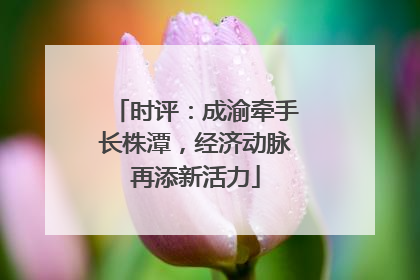 时评：成渝牵手长株潭，经济动脉再添新活力