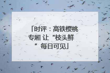 时评：高铁樱桃专厢 让“枝头鲜”每日可见