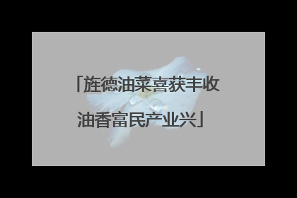 旌德油菜喜获丰收 油香富民产业兴