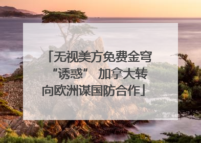 无视美方免费金穹“诱惑” 加拿大转向欧洲谋国防合作