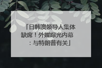 日韩澳领导人集体缺席！外媒曝光内幕：与特朗普有关