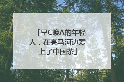 早C晚A的年轻人，在亮马河边爱上了中国茶