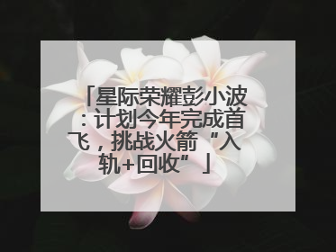 星际荣耀彭小波：计划今年完成首飞，挑战火箭“入轨+回收”