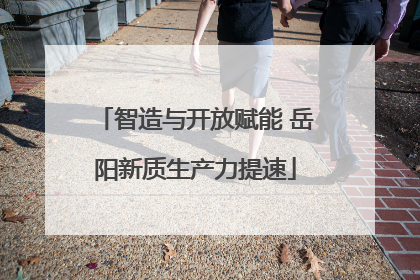 智造与开放赋能 岳阳新质生产力提速