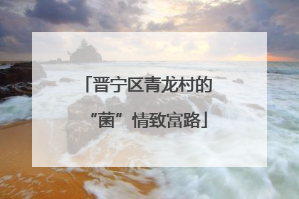晋宁区青龙村的“菌”情致富路