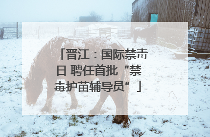 晋江：国际禁毒日 聘任首批“禁毒护苗辅导员”