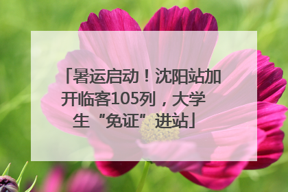 暑运启动！沈阳站加开临客105列，大学生“免证”进站