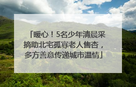 暖心！5名少年清晨采摘助北宅孤寡老人售杏，多方善意传递城市温情