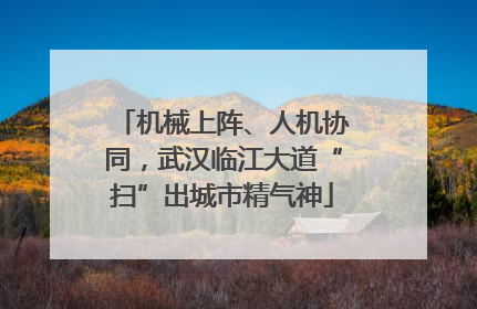机械上阵、人机协同，武汉临江大道“扫”出城市精气神
