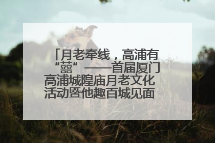 月老牵线，高浦有“囍”——首届厦门高浦城隍庙月老文化活动暨他趣百城见面会隆重举办