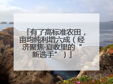 有了高标准农田，亩均纯利增六成（经济聚焦·夏收里的“新选手”）