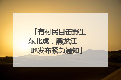 有村民目击野生东北虎，黑龙江一地发布紧急通知