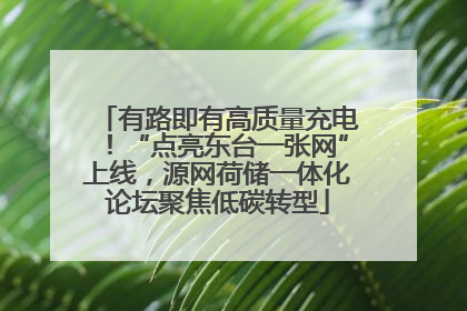 有路即有高质量充电！“点亮东台一张网”上线，源网荷储一体化论坛聚焦低碳转型